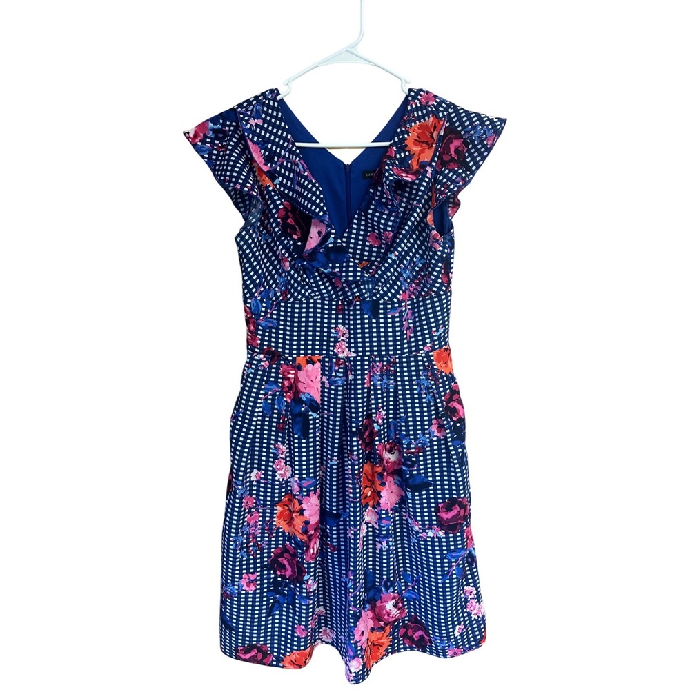 Chris‎ McLaughlin Blue Gingham Floral Ruffle Fit Flare Dress Size 6